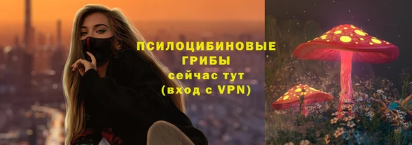 меф Елизово