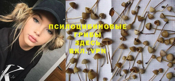 бутират Ельня