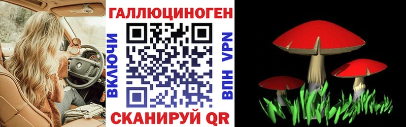 Галлюциногенные грибы Cubensis  магазин    Зеленоградск 